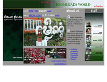 Tablet Screenshot of bromeliadsthailand.com